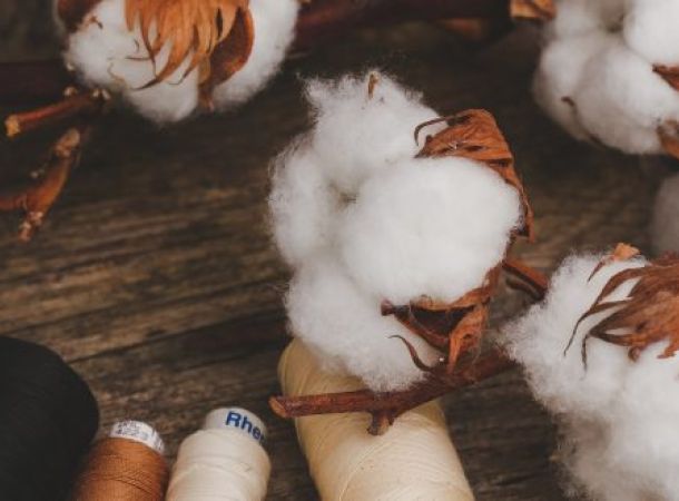 Cotton Products - Cotton Barons